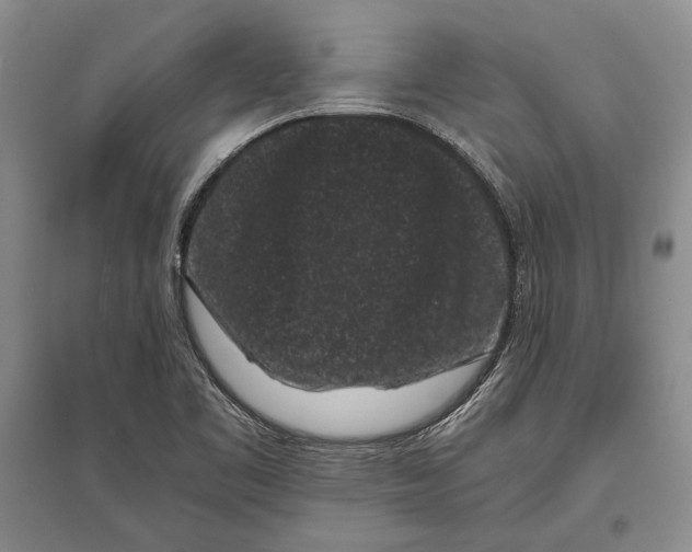 X0000096981461200802291134