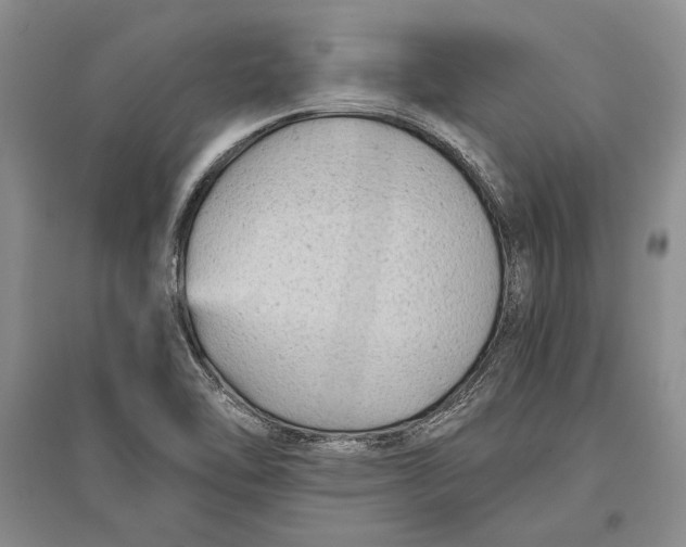 X0000096981462200802291134