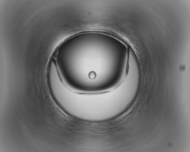 X0000096981463200802291134