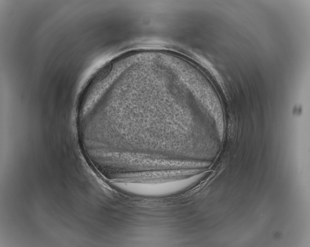 X0000096981464200802291134