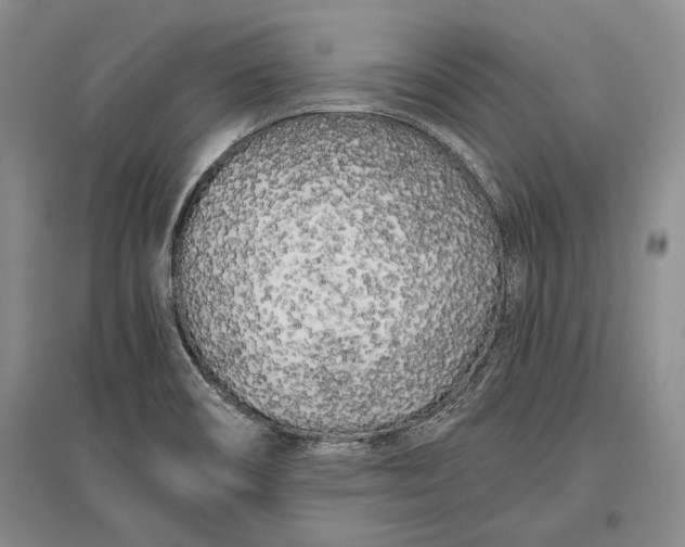 X0000096981466200802291134