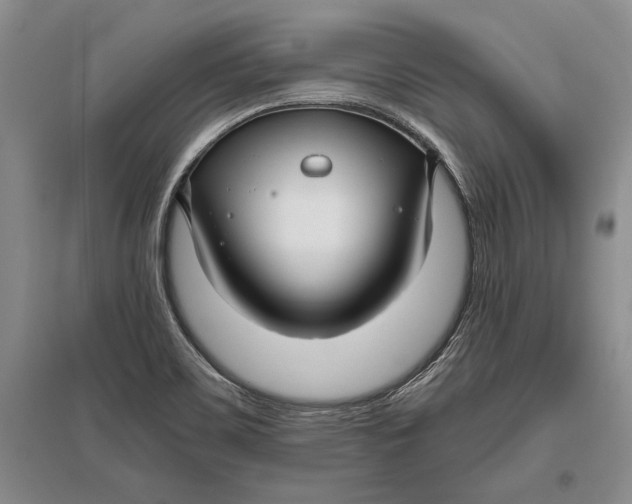 X0000096981467200802291134