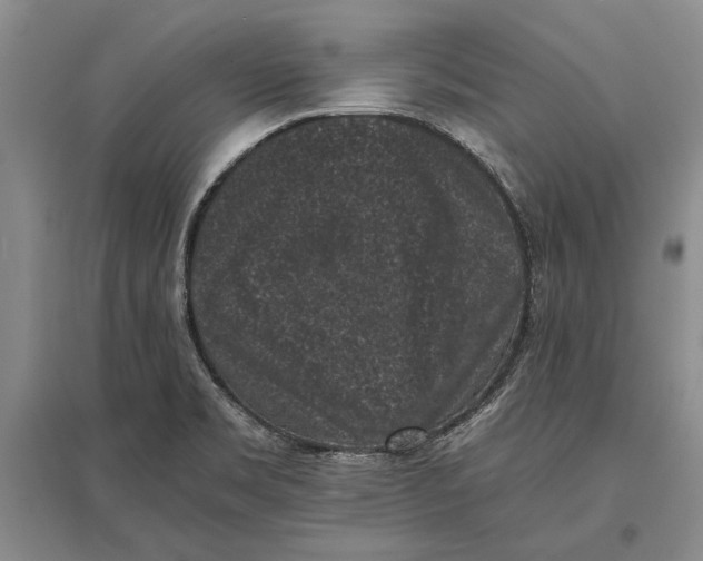 X0000096981469200802291134