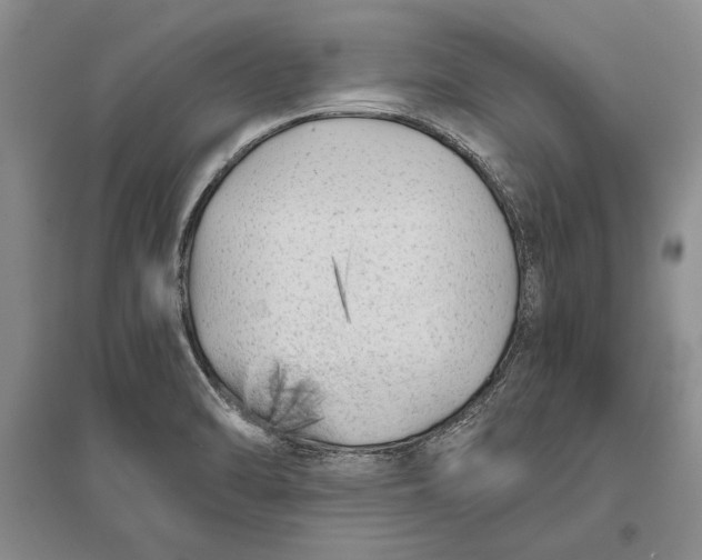 X0000096981470200802291134