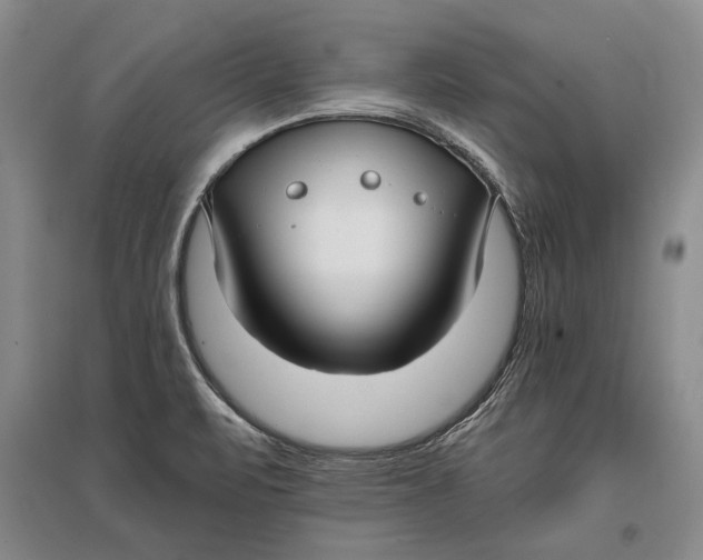 X0000096981471200802291134