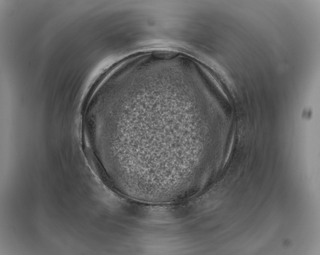 X0000096981472200802291134