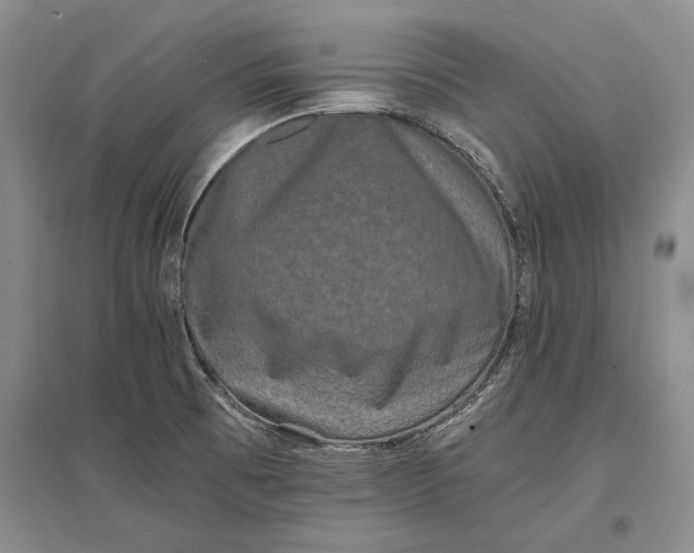 X0000096981473200802291134