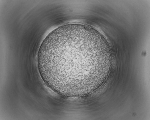 X0000096981474200802291134