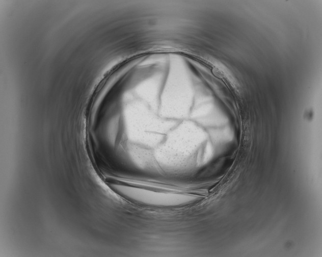 X0000096981476200802291134