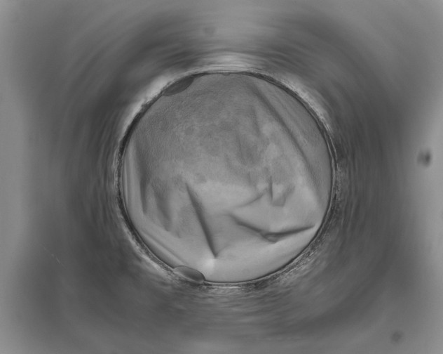 X0000096981477200802291133