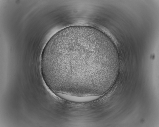 X0000096981479200802291133