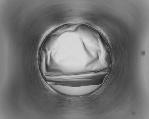 X0000096981480200802291133