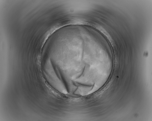 X0000096981481200802291133