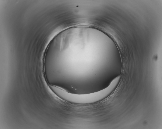 X0000096981483200802291133