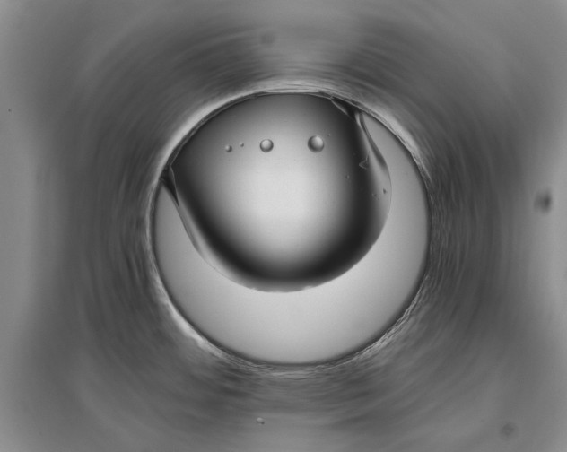 X0000096981484200802291133