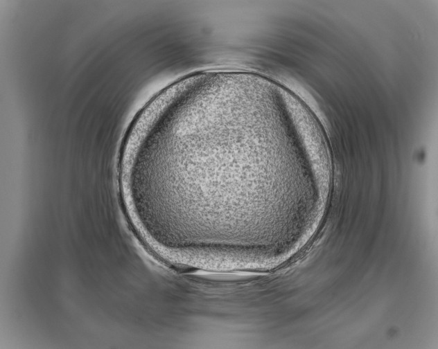 X0000096981485200802291133