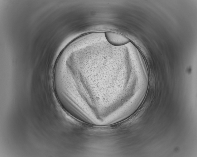 X0000096981486200802291133