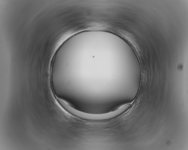 X0000096981487200802291133