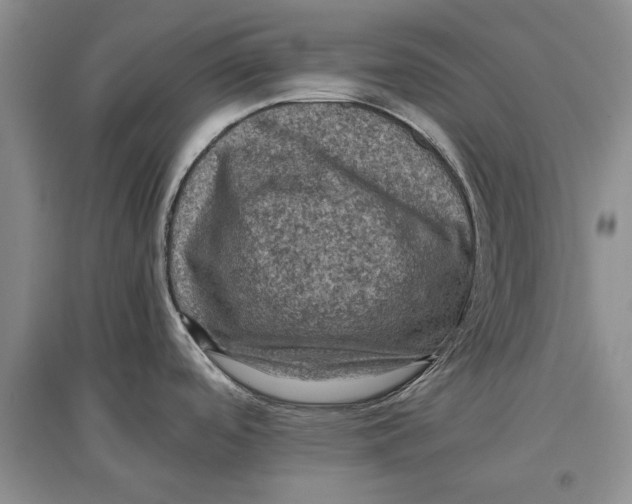 X0000096981488200802291133