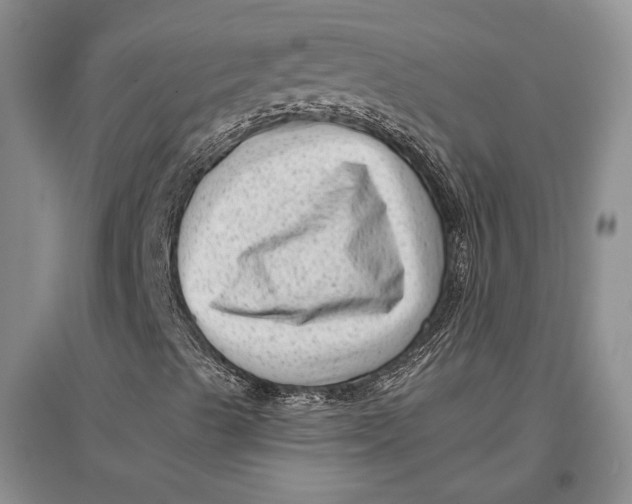 X0000096981489200802291133