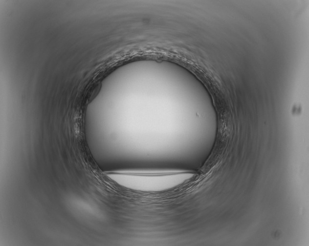 X0000096981490200802291133