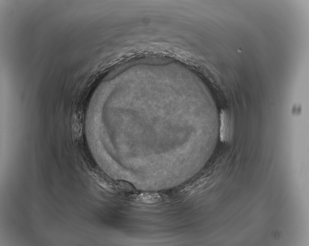 X0000096981491200802291133