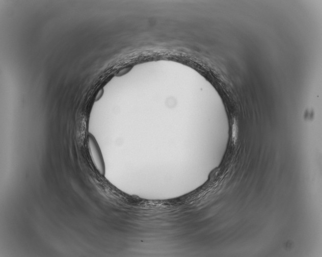 X0000096981492200802291133