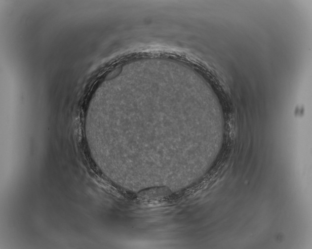 X0000096981493200802291133