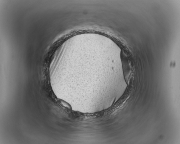 X0000096981494200802291133