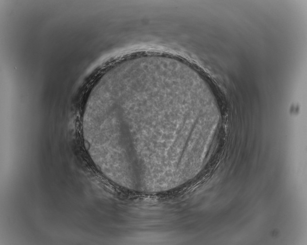 X0000096981495200802291133