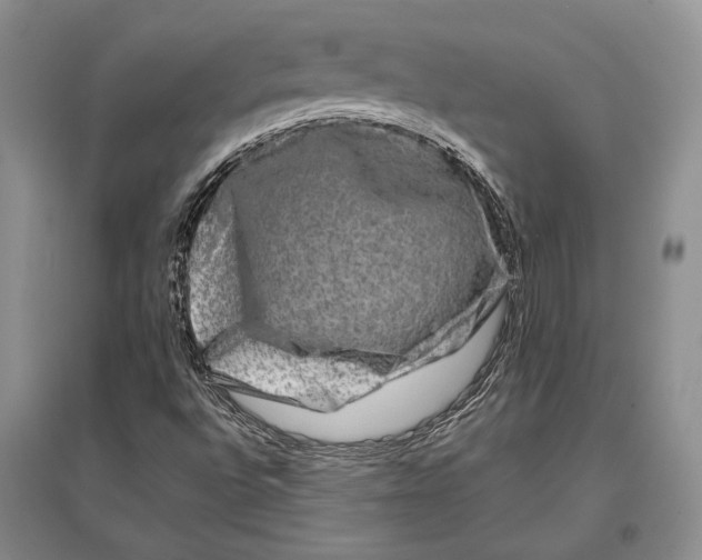 X0000096981496200802291133