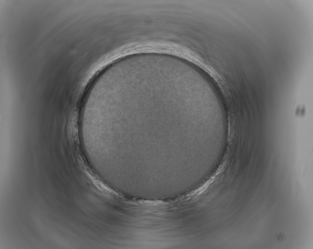 X0000096981498200802291133