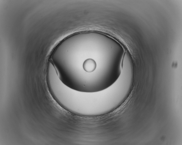 X0000096981500200802291133