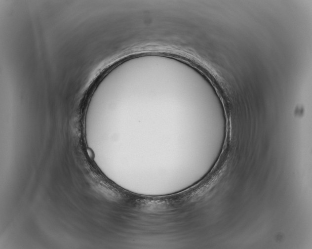 X0000096981501200802291133