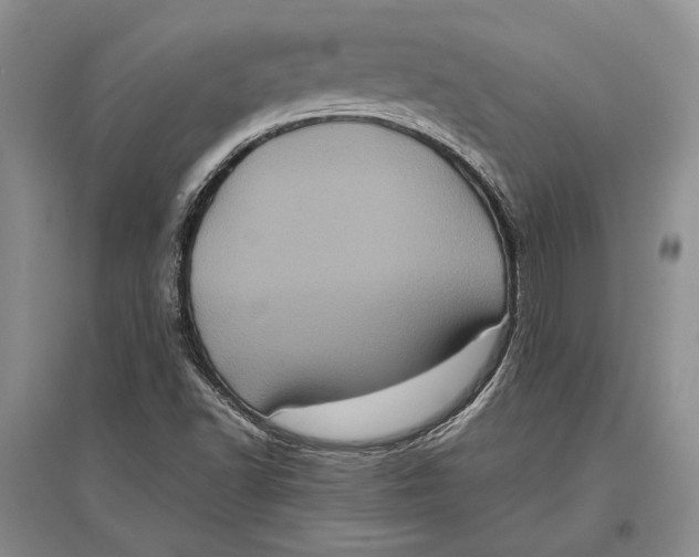 X0000096981502200802291133