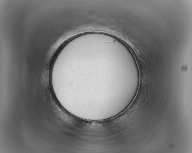 X0000096981503200802291133