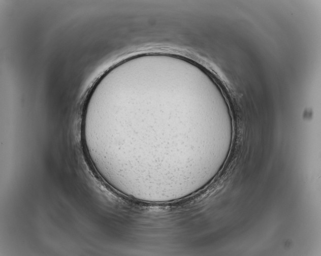 X0000096981504200802291133