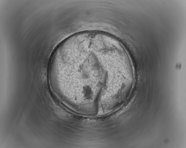 X0000096981505200802291133