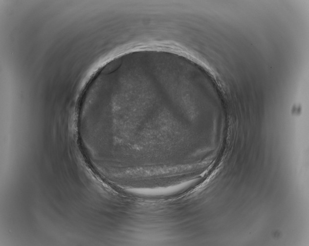 X0000096981506200802291133