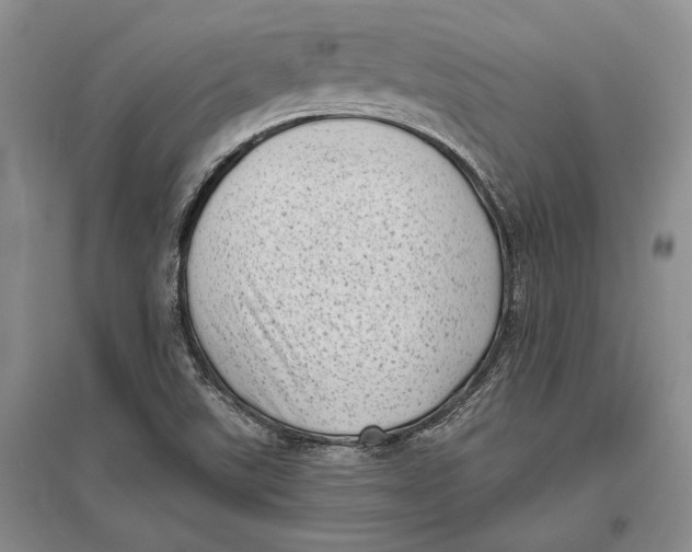 X0000096981507200802291133