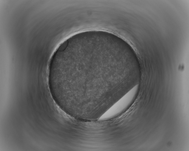 X0000096981508200802291133