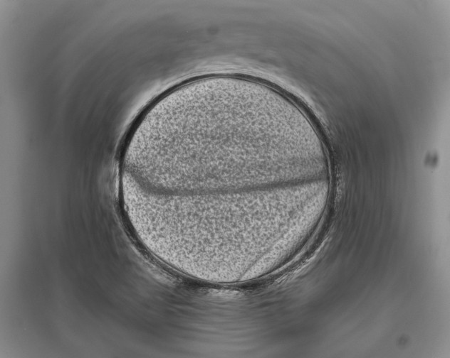 X0000096981509200802291133