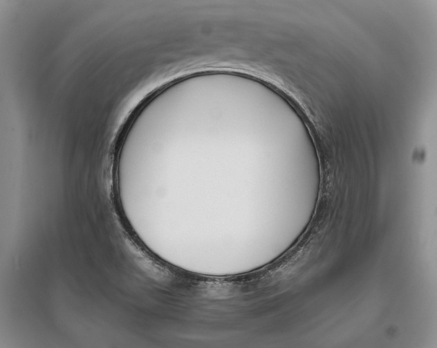 X0000096981511200802291133