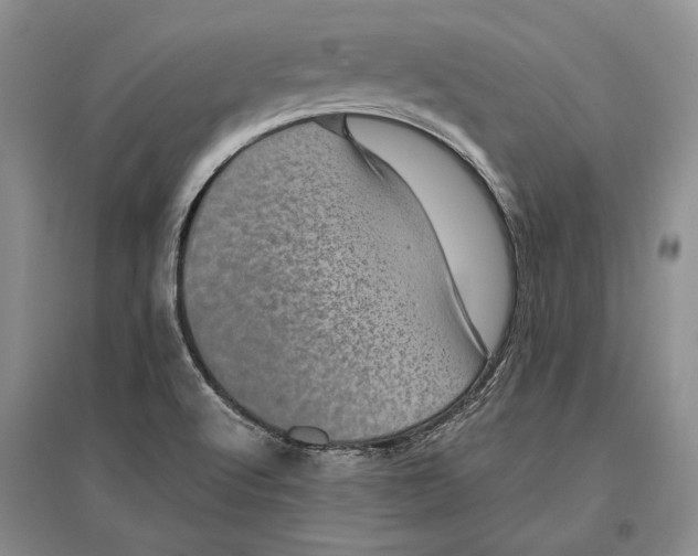 X0000096981512200802291133