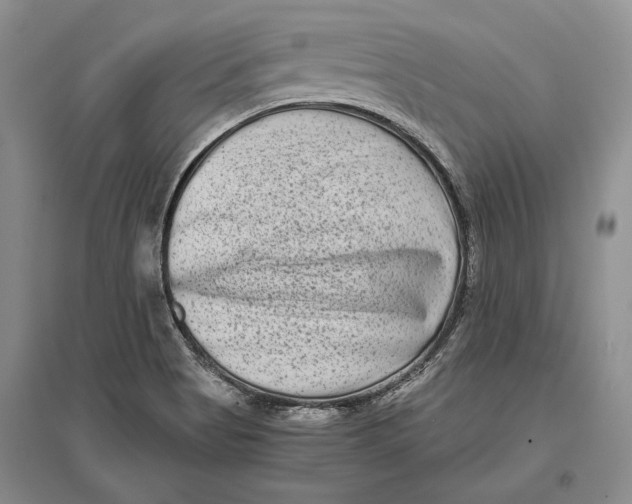 X0000096981513200802291133