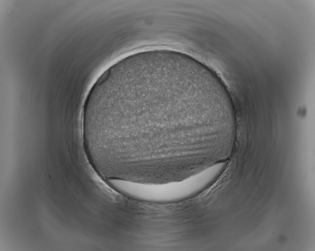 X0000096981516200802291133