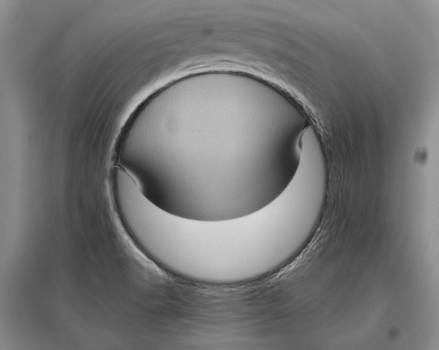 X0000096981518200802291133