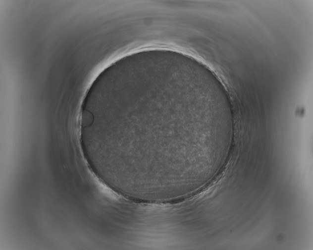 X0000096981519200802291133