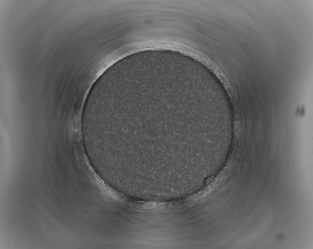 X0000096981521200802291133