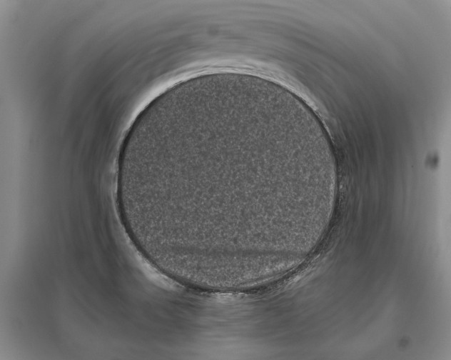 X0000096981523200802291133